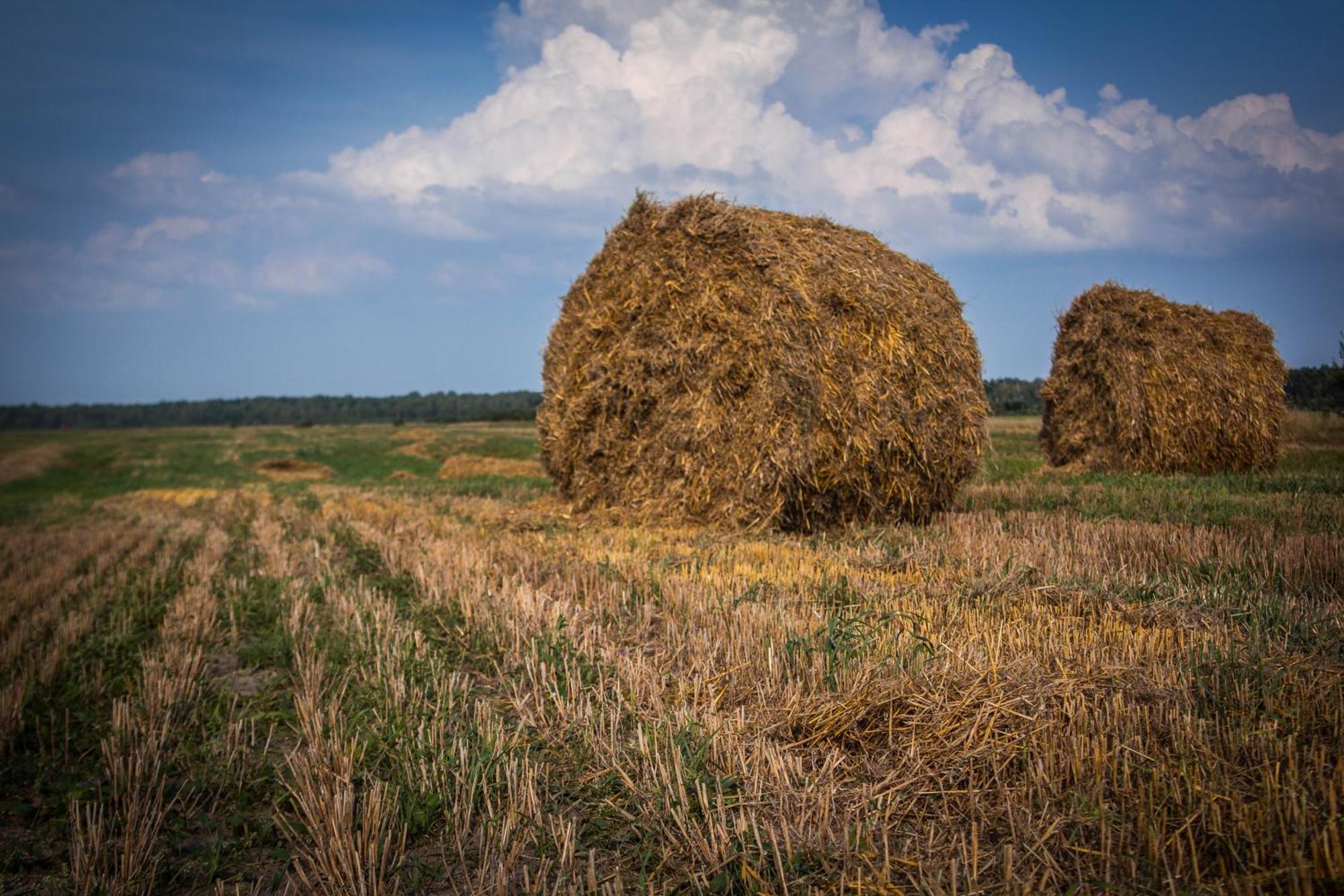 Отель Agrousadba Studinka Girsk Экстерьер фото